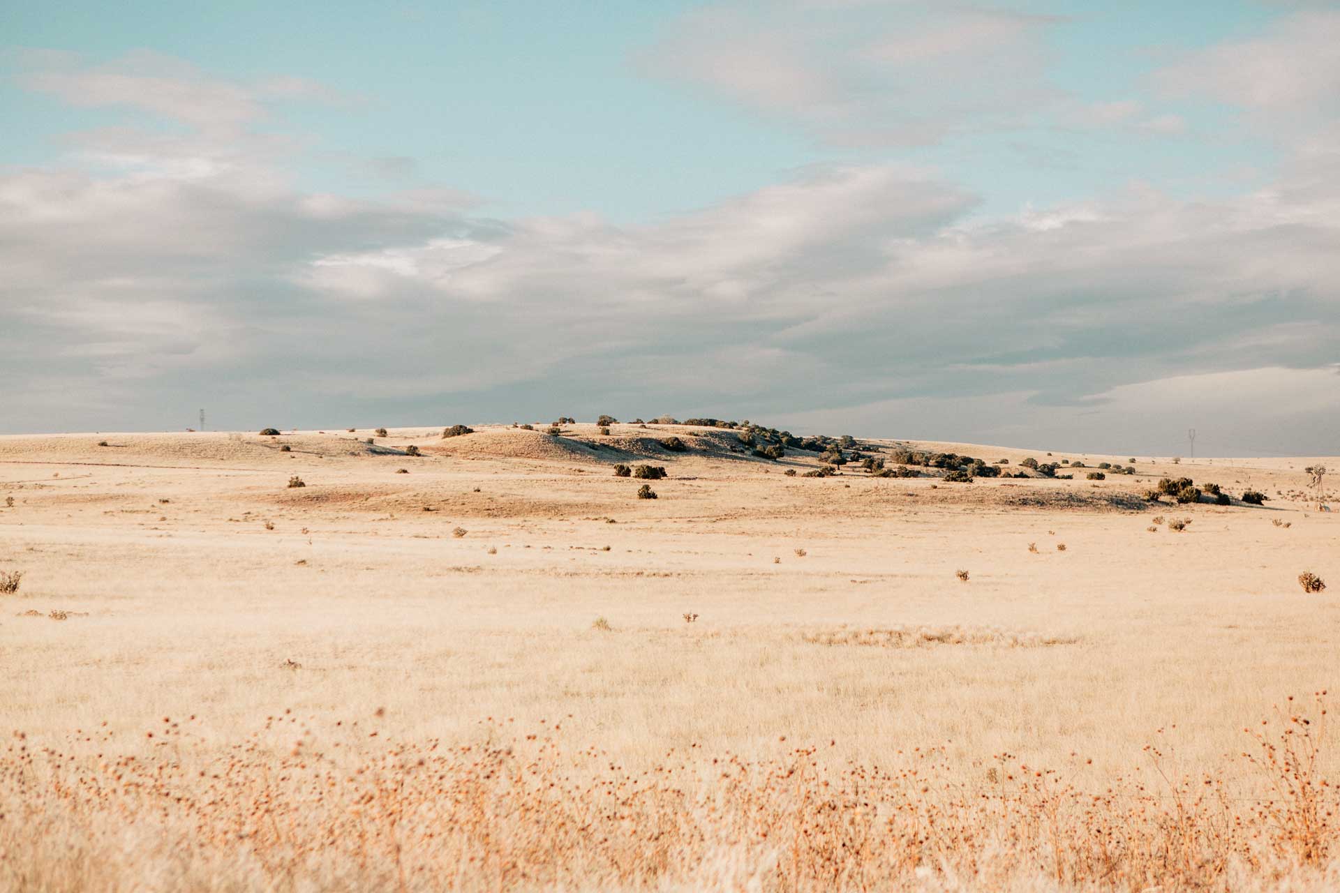 wide open field with cloudy sky