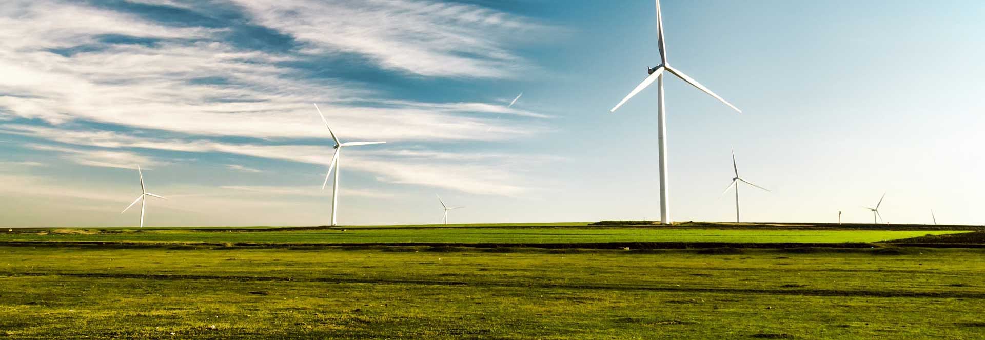 large open field with green grass and several windmills